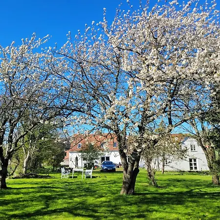 Lejbolle Gamle Bageri Apartman Tranekær